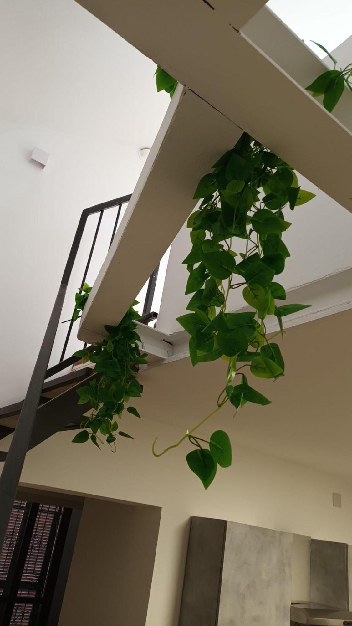 Casa N 1 Con Parcheggio Privato E Colonnina Ricarica Apartment Livorno Ngoại thất bức ảnh